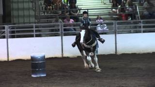 Draft Horse Barrel Racing [upl. by Laise]