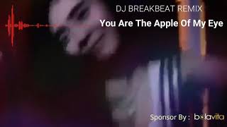 Dj Those Bygone Years Ost You Are My Apple Of My Eye Remix Breakbeat [upl. by Nnylimaj312]