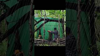 Solo camping in the rain asmr survival shortvideo rain [upl. by Piscatelli]