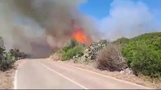 Ugento incendi nel parco nazionale evacuato il parcheggio del resort a Torre Mozza [upl. by Jaret]