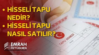 HİSSELİ TAPU NEDİR HİSSELİ TAPU NASIL SATILIR  GAYRİMENKUL EĞİTİMİ [upl. by Fields]