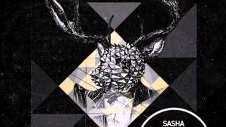 Sasha Carassi  Black Propaganda Tiger Stripes Remix [upl. by Ellennoj]