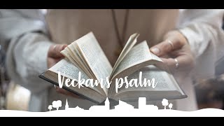 Psalm 253 O giv oss Herre av den tro [upl. by Dnomse]