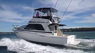 Riviera 33 Flybridge Cruiser  Walkthrough [upl. by Karine759]