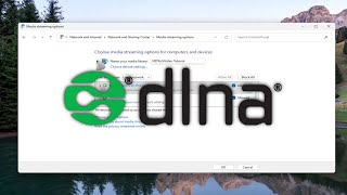 How to Enable DLNA Media Server in Windows 11 Solution [upl. by Llerrahs]