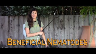 How to Apply Beneficial Nematodes to Control Pests in Your Garden [upl. by Zirkle]