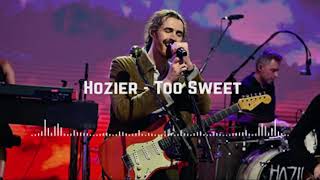 Hozier  Too Sweet Official Music [upl. by Nerag439]