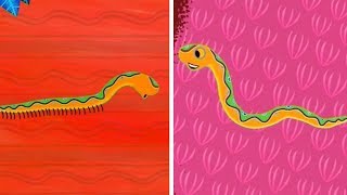 Tinga Tinga Tales Official  Why Snake Has No Legs  Tinga Tinga Tales Full Episodes [upl. by Terriss]