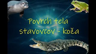 Biológia 7 ročník  Povrch tela stavovcov  koža [upl. by Caryl554]