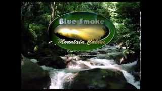 Blue Smoke Mountain Cabins in Townsend Tennessee [upl. by Shantee]