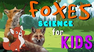 Foxes  Science for Kids [upl. by Melania]