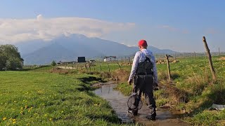 🎣 Am PRINS PĂSTRĂVI pe PÂRAIELE MICI de la POALELE MUNTELUI [upl. by Ardnasela]