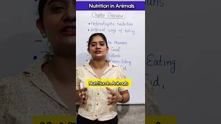 Nutrition In Animals Full Chapter  Overview  Class 7 Science Chapter 2 [upl. by Balthasar]