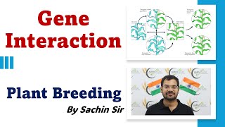 Gene Interaction  Important Concepts of Plant Breeding  By Sachin Sir [upl. by Alysia]