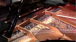 John Cage  Sonata V from Sonatas and Interludes  Inara Ferreira prepared piano [upl. by Nhabois21]