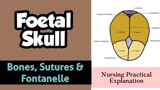 Fetal Skull  Fetal Skull Bones and Sutures  Pediatrics Lecture  OBGY Nursing  INC Syllabus [upl. by Nylsirk]