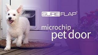 SureFlap Microchip Pet Door  Door Installation [upl. by Wendell]