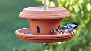 DIY terracotta bird feeder [upl. by Nurav]