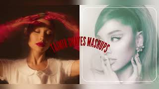 End Of The Safety Net  Ariana Grande amp Ty Dolla ign Mashup [upl. by Atinauq225]