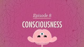 Consciousness Crash Course Psychology 8 [upl. by Eliza613]