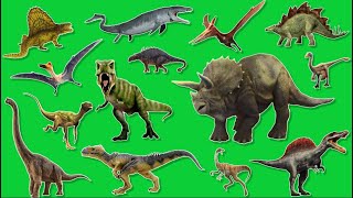 Learn Dinosaurs Names for Kids  Tyrannosaurus Triceratops Diplodocus Brachiosaurus For Children [upl. by Kania]