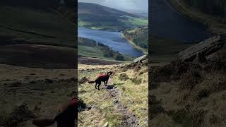 WINDY at DOVESTONE RESERVOIR in the Peak District  Roz [upl. by Noni43]