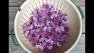 How to Grow Use amp Store Chives  a versatile amp easy to grow perennial herb w a mild onion flavor [upl. by Cyn]