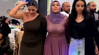 Kurd Wedding Dance  Traditional Kurdish Dance [upl. by Imer]