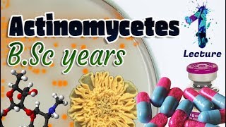 Actinomycetes  Characteristics  Importances  Identification BSc 3st year 🧫💊🔬 [upl. by Dorcus]