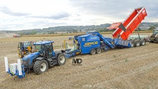 🔵JCB Fastrac Blue  Goweil Variomaster  Enrubannage Maïs épis  AgriSovet [upl. by Asoral]