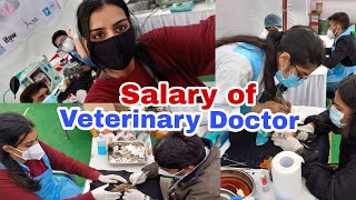 Salary of Veterinary Doctor 🤯💯 vet veterinary veterans new neet newvideo veterans salary [upl. by Tearle]