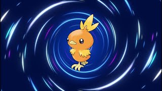 Torchic Evolution Line [upl. by Berner203]