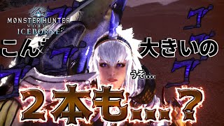 【MHW Iceborne】ナニがとは言わんけど2本もぶち込まれるハンター 16 [upl. by Ttereve313]