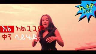 Rahel Getu  Alguaguam  አልጓጓም  New Ethiopian Music 2019 Official Video lyrics HD [upl. by Coit999]