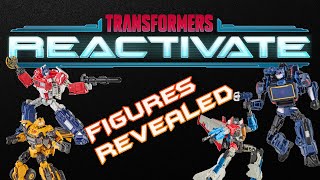 TRANSFORMERS REACTIVE FIGURES REVEALED  Giant Robot News Nov 14 2023  transformers [upl. by Ipoillak765]