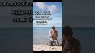 aaradhichidam kumbittaradhichidam devotionalsongs jesuslovesyou jesus jesuschristgod [upl. by Sardse]