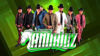 Inténtalo  Conjunto Andaluz Estreno 2022 Huapango Merequetengue [upl. by Thorman]