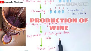 Preperation of wine by fermentation in industries  Production of wine  Grape wine  Bio science [upl. by Nnylekoorb]