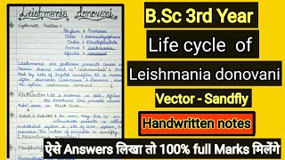 Lifecycle of Leishmania donovani BSc 3rd year zoology 1°amp 2° host  kalaazar  handwritten notes [upl. by Goto]