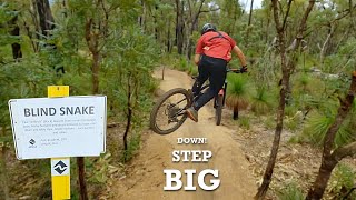 BLIND SNAKE New BLACK trail at Mt Gunjin Kalamunda [upl. by Calendra]