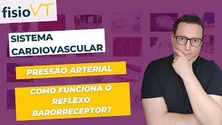 Fisiologia Vascular  10 Funcionamento do Reflexo Barorreceptor [upl. by Horatio]