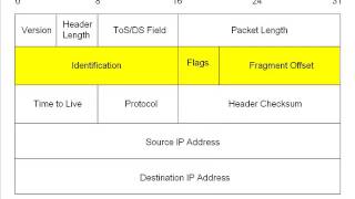 2 The IPv4 Packet [upl. by Merce]