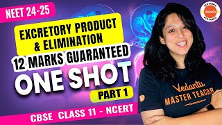 ✨Excretory Product amp Elimination  One Shot Part1  CBSE Class 11 Biology📚  NEET 2024  2025🥼🩺 [upl. by Gnol]