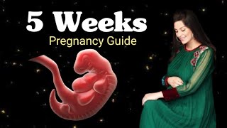 Pregnancy at 5 weeks week by week pregnancy  pregnancy guide  mothers guide [upl. by Tansey]