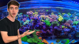 Private Tour of 30000 GALLON Reef Aquarium SPS Dominant Coral Farm  Top Shelf Aquatics [upl. by Prosser]