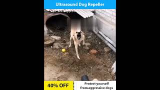 Ultrasound Dog Repeller [upl. by Eivod121]