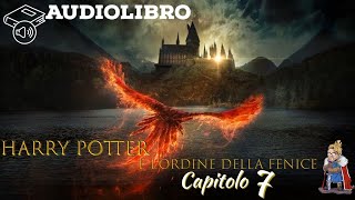 Audiolibro  Harry Potter e lordine della fenice  Lettura e Commento LIVE Cap 7 [upl. by Macdonell341]