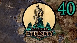 The Sanitarium Madhouse  Lets Play Pillars of Eternity PotD 40 [upl. by Thin]