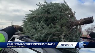 Milwaukee Common Council unanimously orders DPW to pick up Christmas trees postholiday [upl. by Illil]