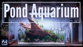 Pond Style Aquarium mit Teichpflanzen  Komplette Einrichtung  AquaOwner [upl. by Frantz]